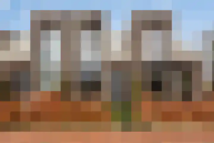 Zelder 12 Scherpenzeel