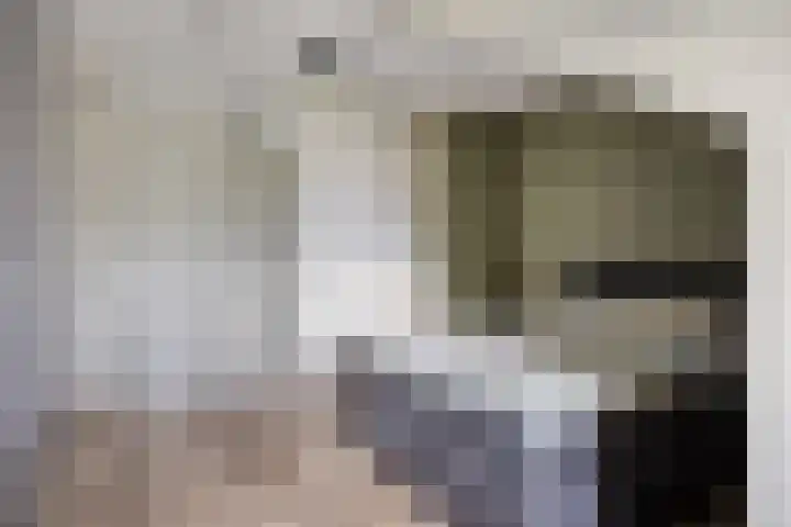 Zelder 12 Scherpenzeel thumbnail 10