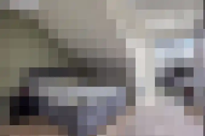 Zelder 12 Scherpenzeel thumbnail 11