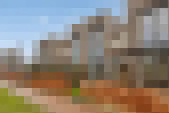 Zelder 12 Scherpenzeel thumbnail 16
