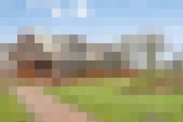 Zelder 12 Scherpenzeel thumbnail 17