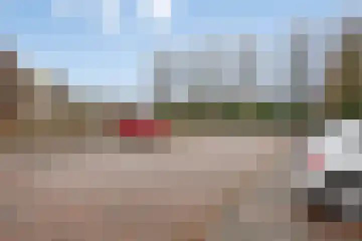 Zelder 12 Scherpenzeel thumbnail 18