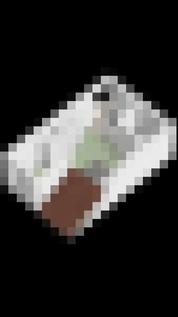 Zelder 12 Scherpenzeel thumbnail 24