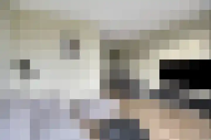 Zelder 12 Scherpenzeel thumbnail 4