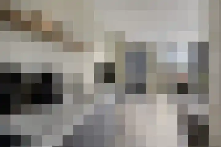 Zelder 12 Scherpenzeel thumbnail 7
