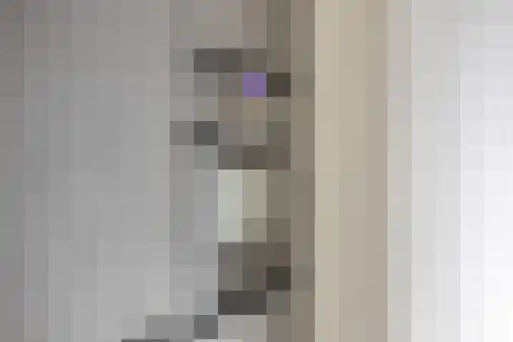Zelder 12 Scherpenzeel thumbnail 8