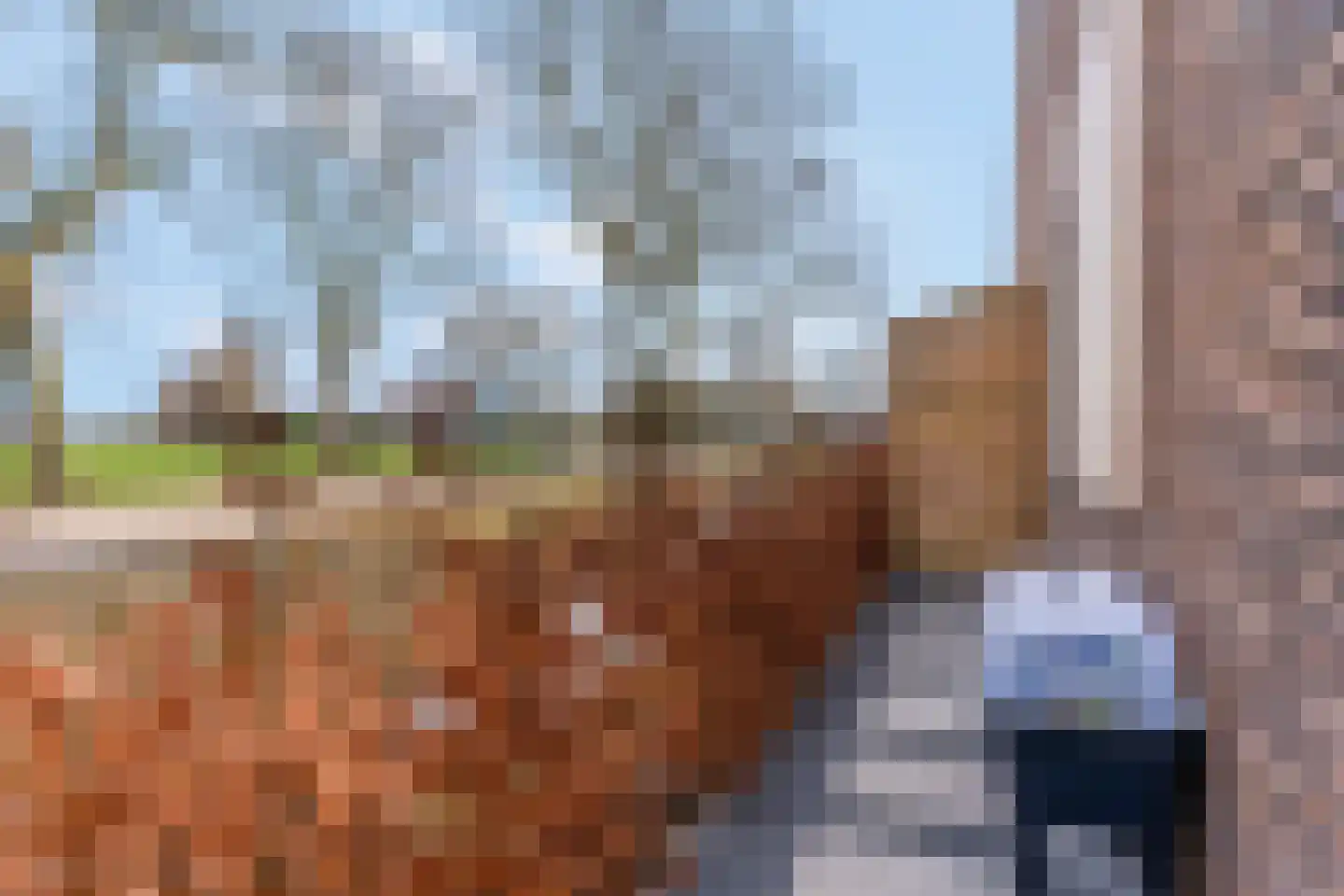 Zelder 14 Scherpenzeel thumbnail 25