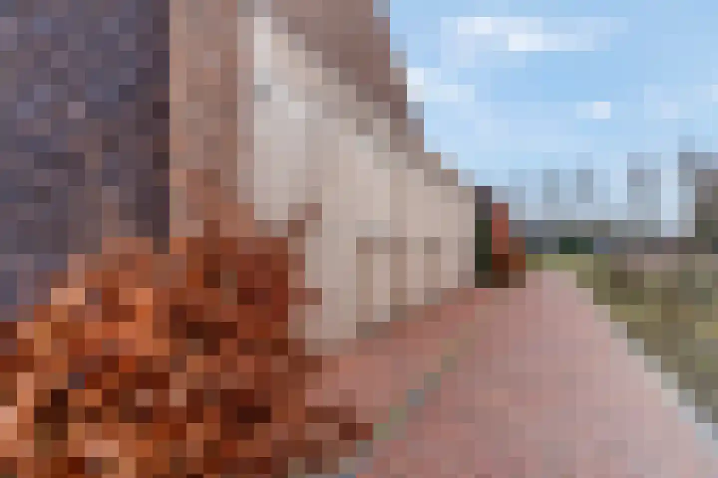 Zelder 14 Scherpenzeel thumbnail 26