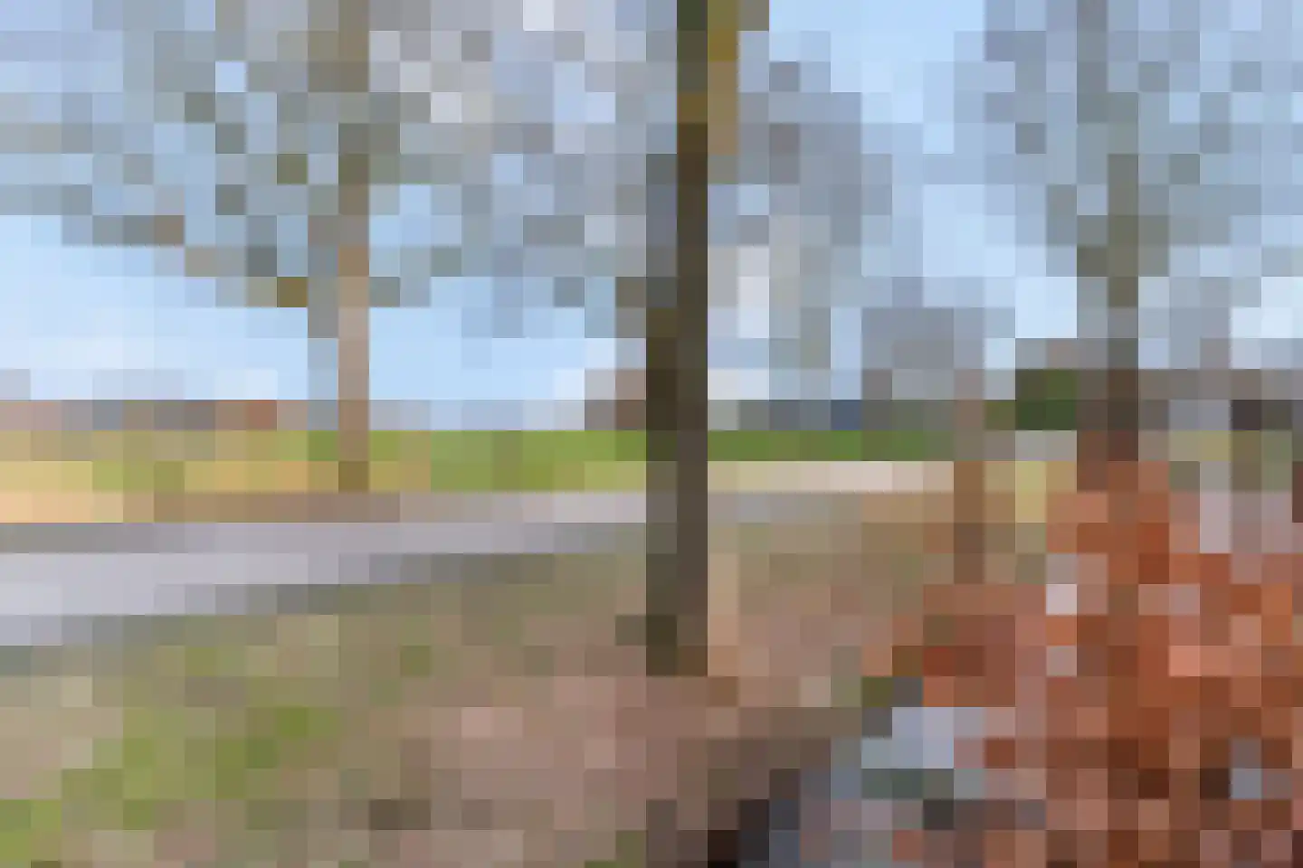 Zelder 14 Scherpenzeel thumbnail 29