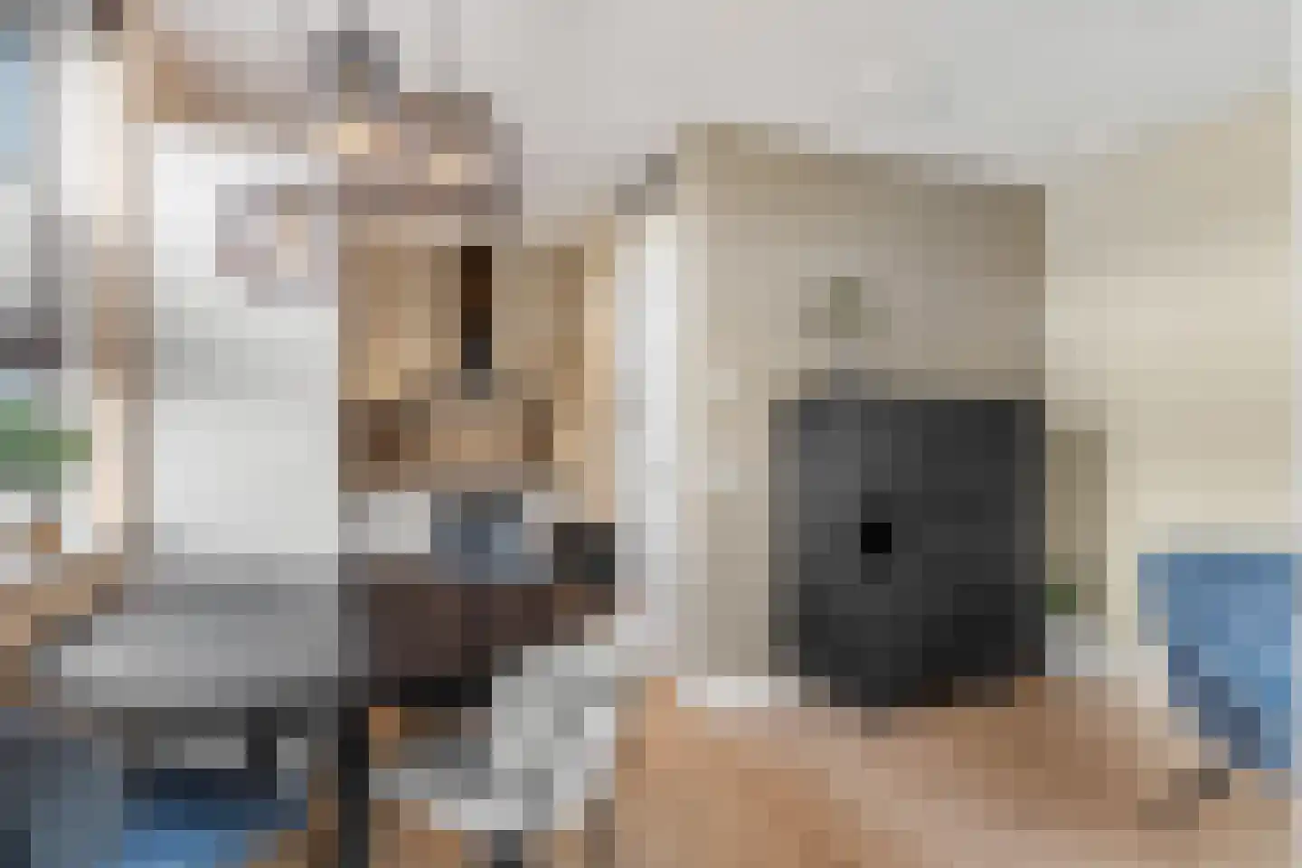 Zelder 14 Scherpenzeel thumbnail 4