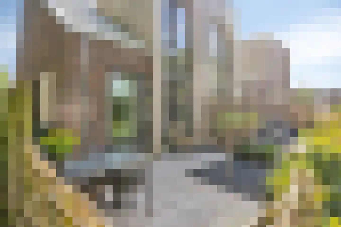 Zelder 23 Scherpenzeel thumbnail 4