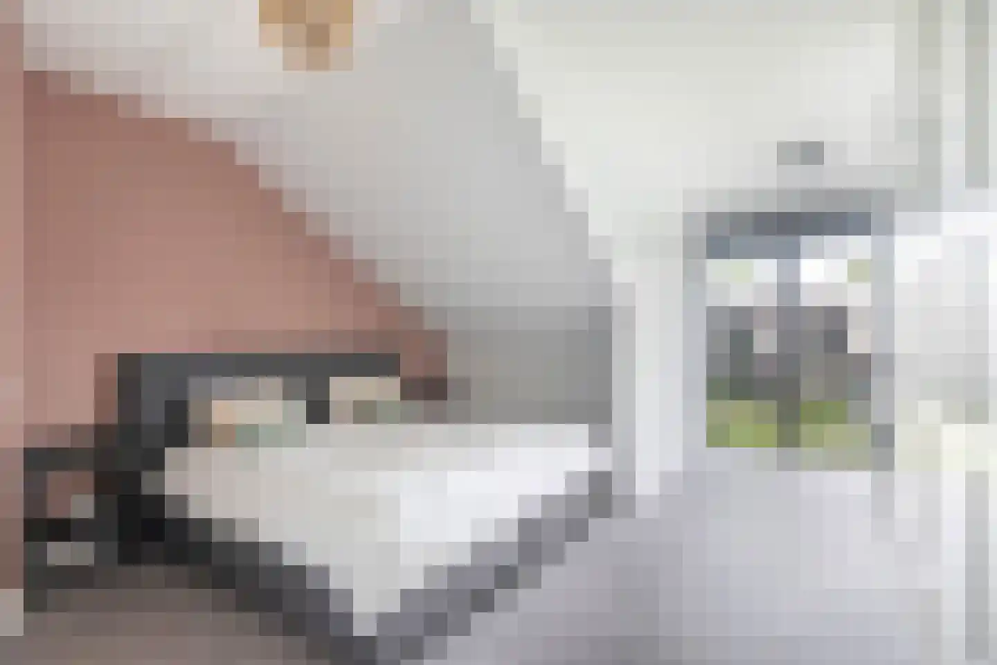 Zelder 6 Scherpenzeel thumbnail 12