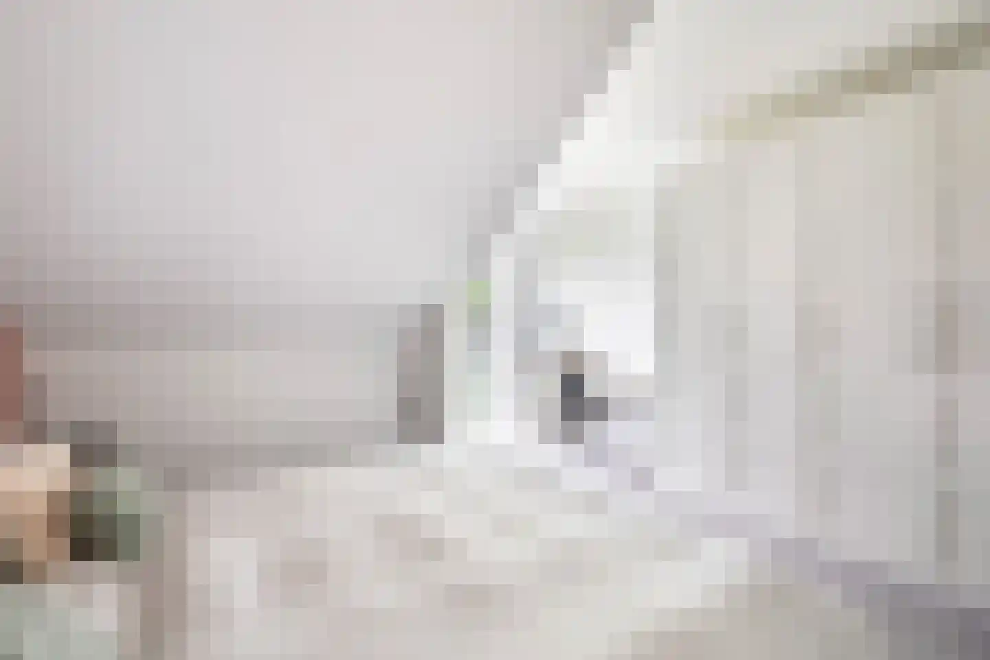 Zelder 6 Scherpenzeel thumbnail 13