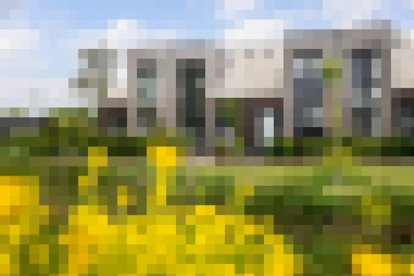 Zelder 6 Scherpenzeel thumbnail 25