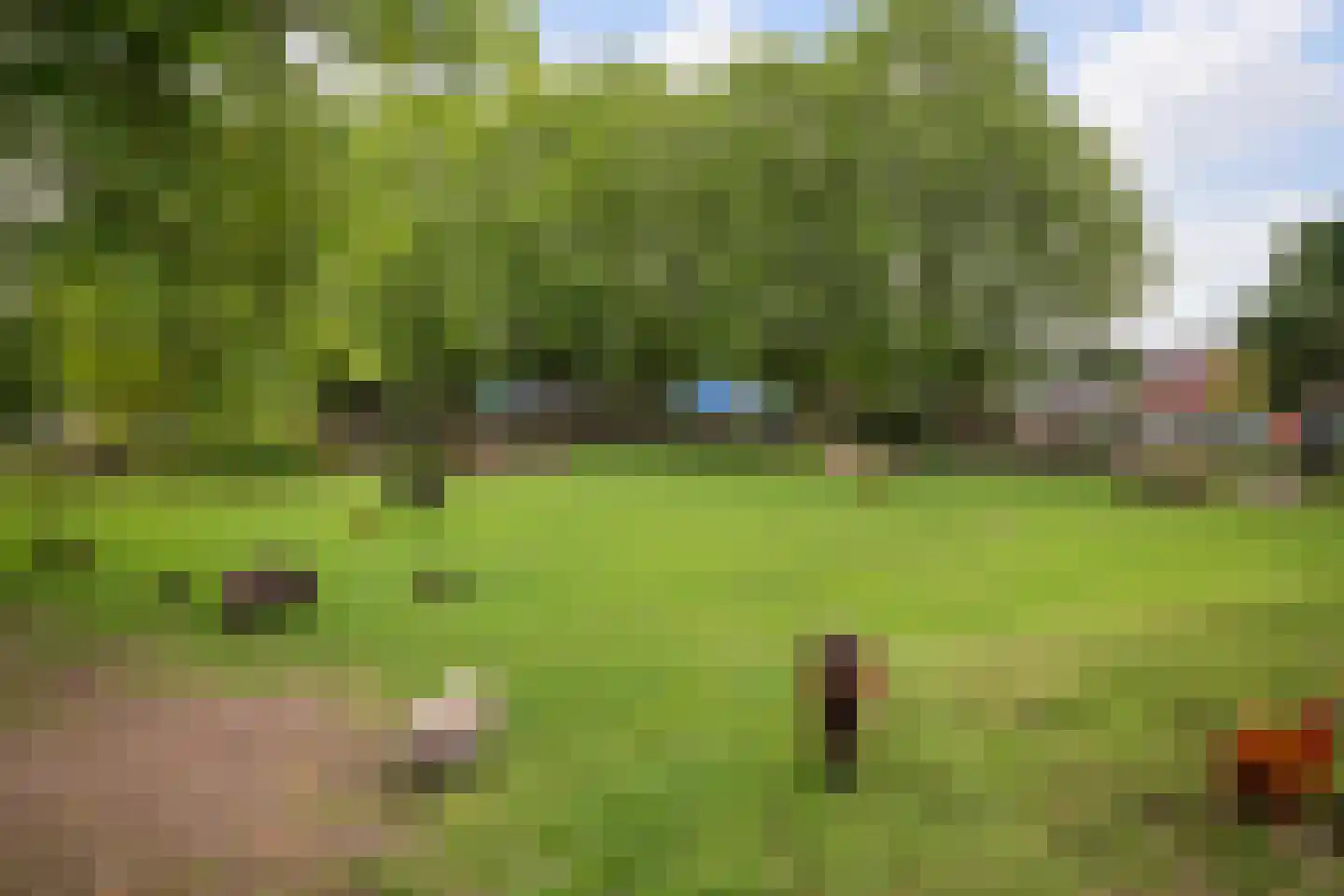 Zelder 6 Scherpenzeel thumbnail 26