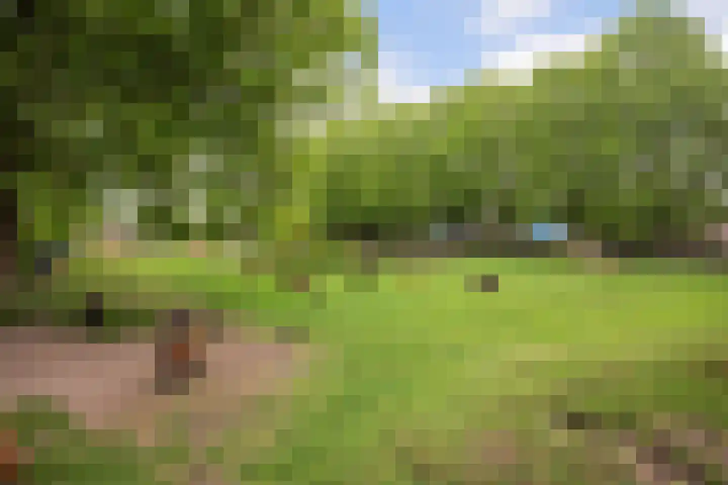 Zelder 6 Scherpenzeel thumbnail 27