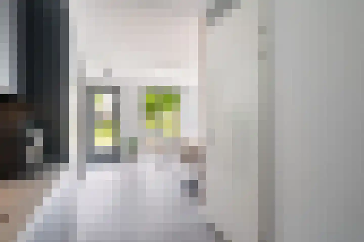 Zelder 6 Scherpenzeel thumbnail 7
