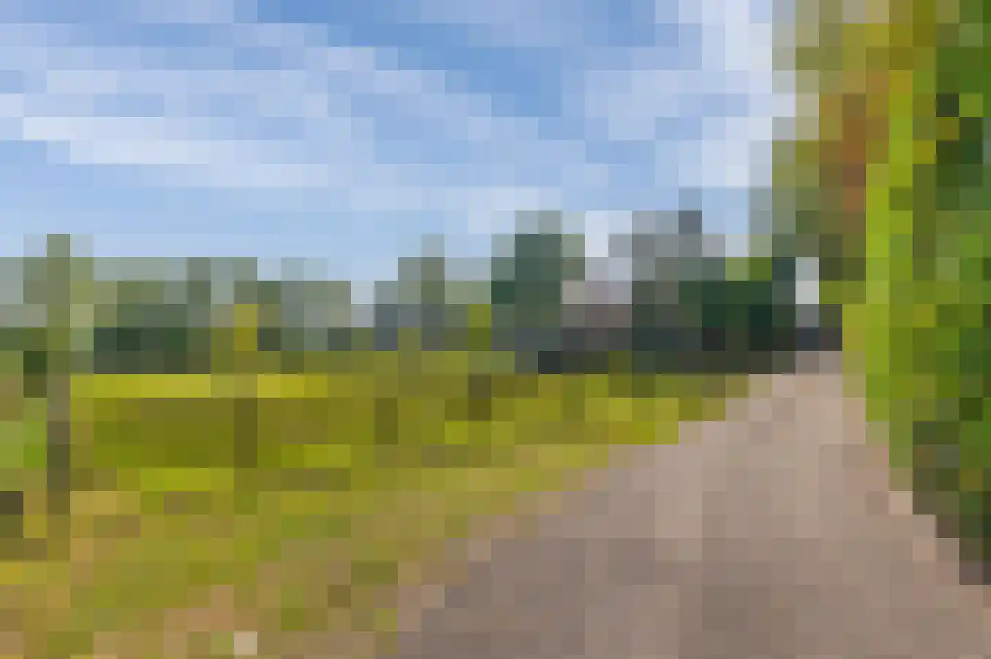Zelderseweg 23 Zwartebroek thumbnail 10