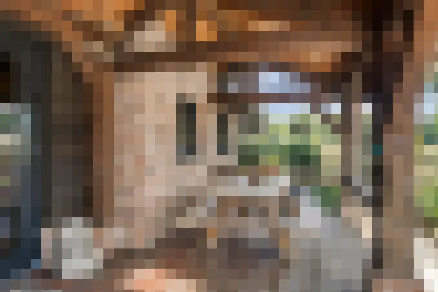 Zelderseweg 23 Zwartebroek thumbnail 14