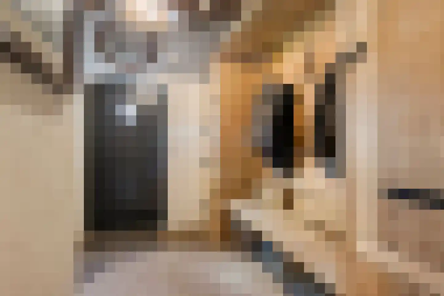 Zelderseweg 23 Zwartebroek thumbnail 17