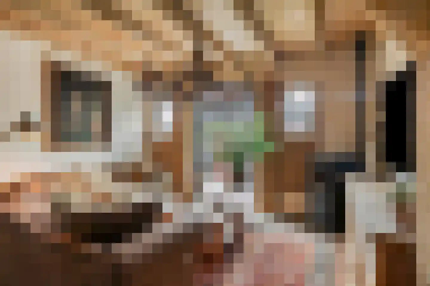 Zelderseweg 23 Zwartebroek thumbnail 22