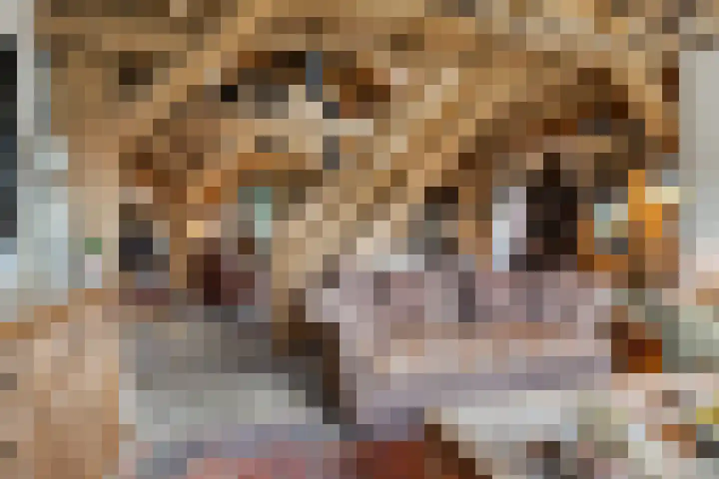 Zelderseweg 23 Zwartebroek thumbnail 23