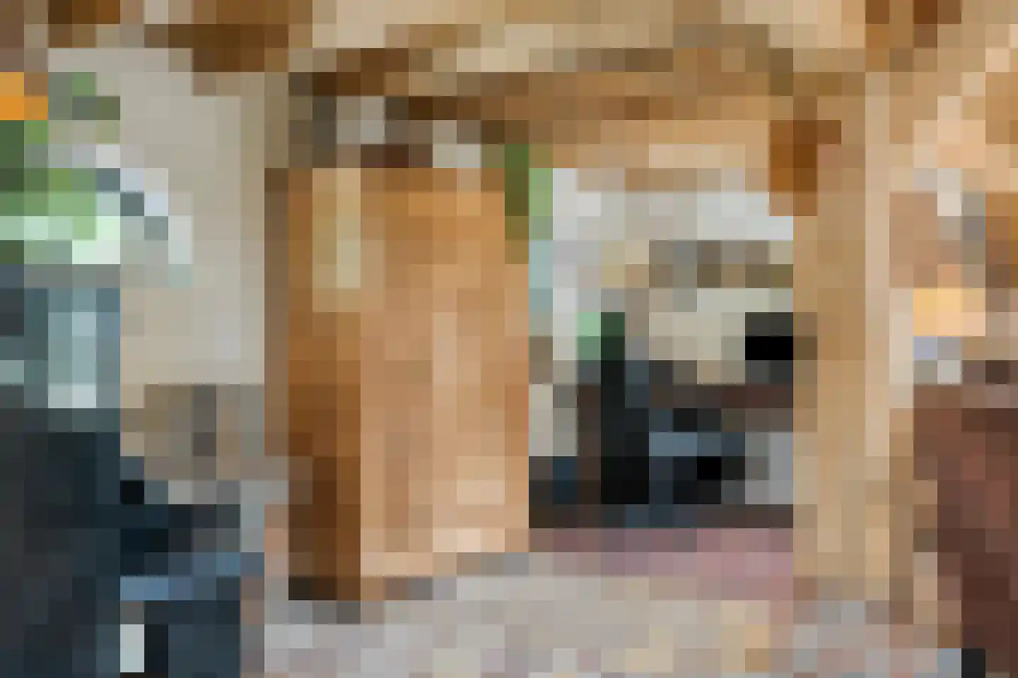 Zelderseweg 23 Zwartebroek thumbnail 24
