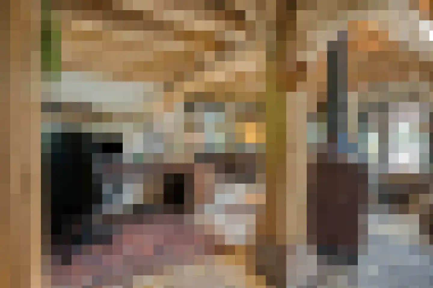 Zelderseweg 23 Zwartebroek thumbnail 25