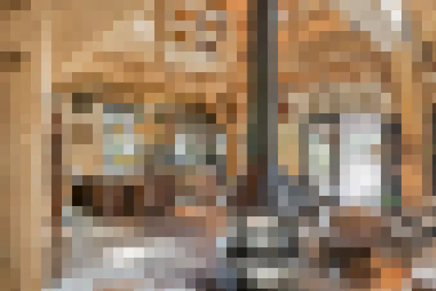 Zelderseweg 23 Zwartebroek thumbnail 26
