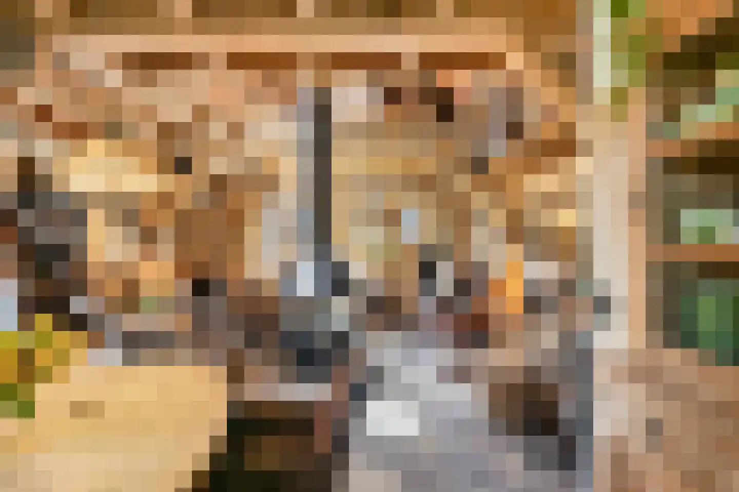 Zelderseweg 23 Zwartebroek thumbnail 34