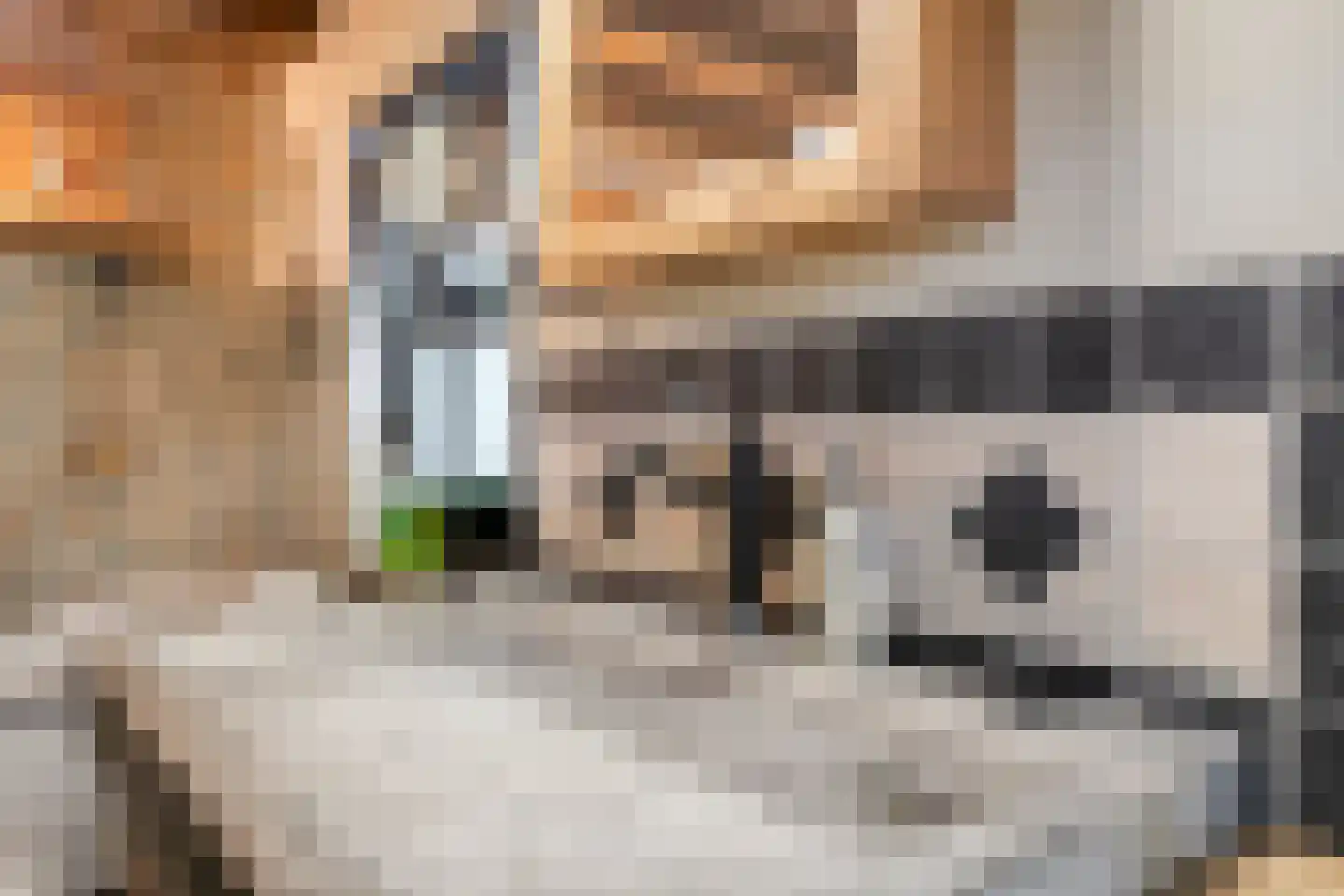 Zelderseweg 23 Zwartebroek thumbnail 37