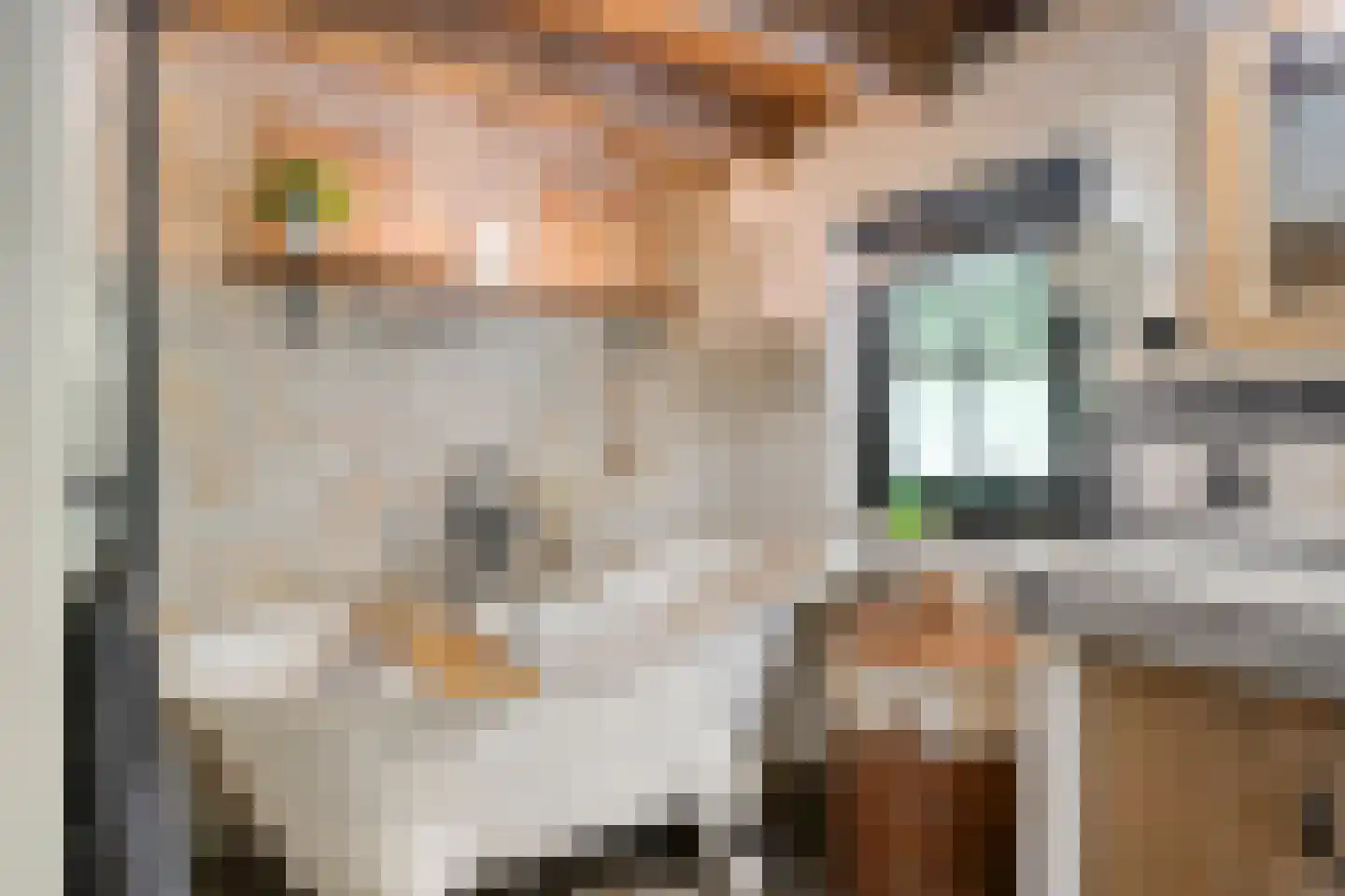Zelderseweg 23 Zwartebroek thumbnail 38