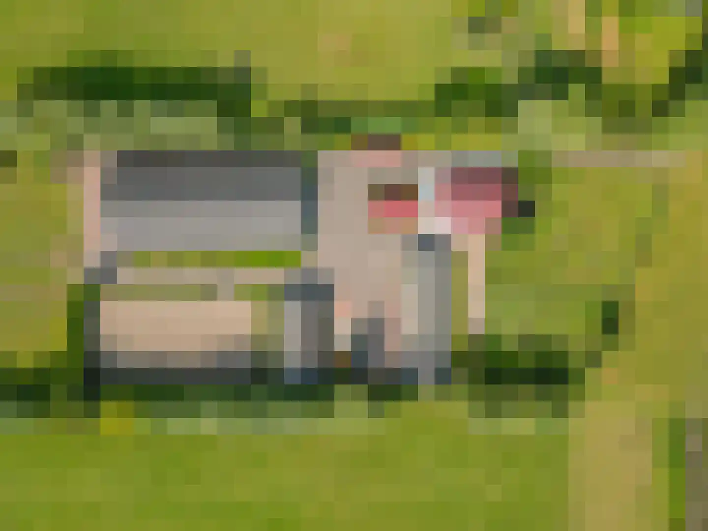 Zelderseweg 23 Zwartebroek thumbnail 4