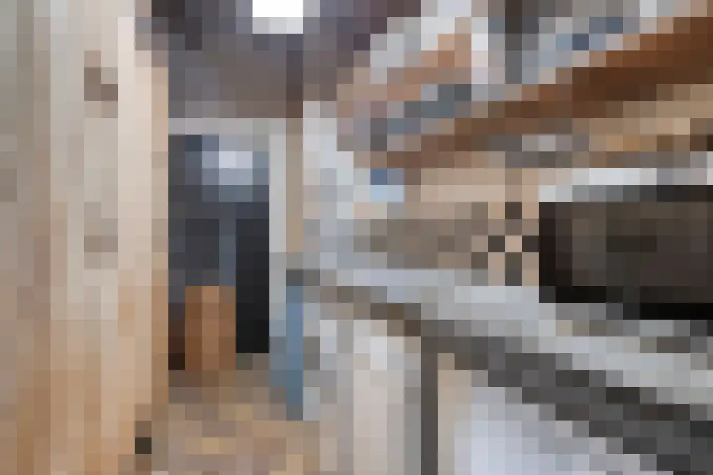 Zelderseweg 23 Zwartebroek thumbnail 40