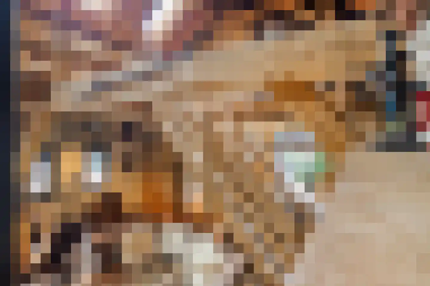 Zelderseweg 23 Zwartebroek thumbnail 42