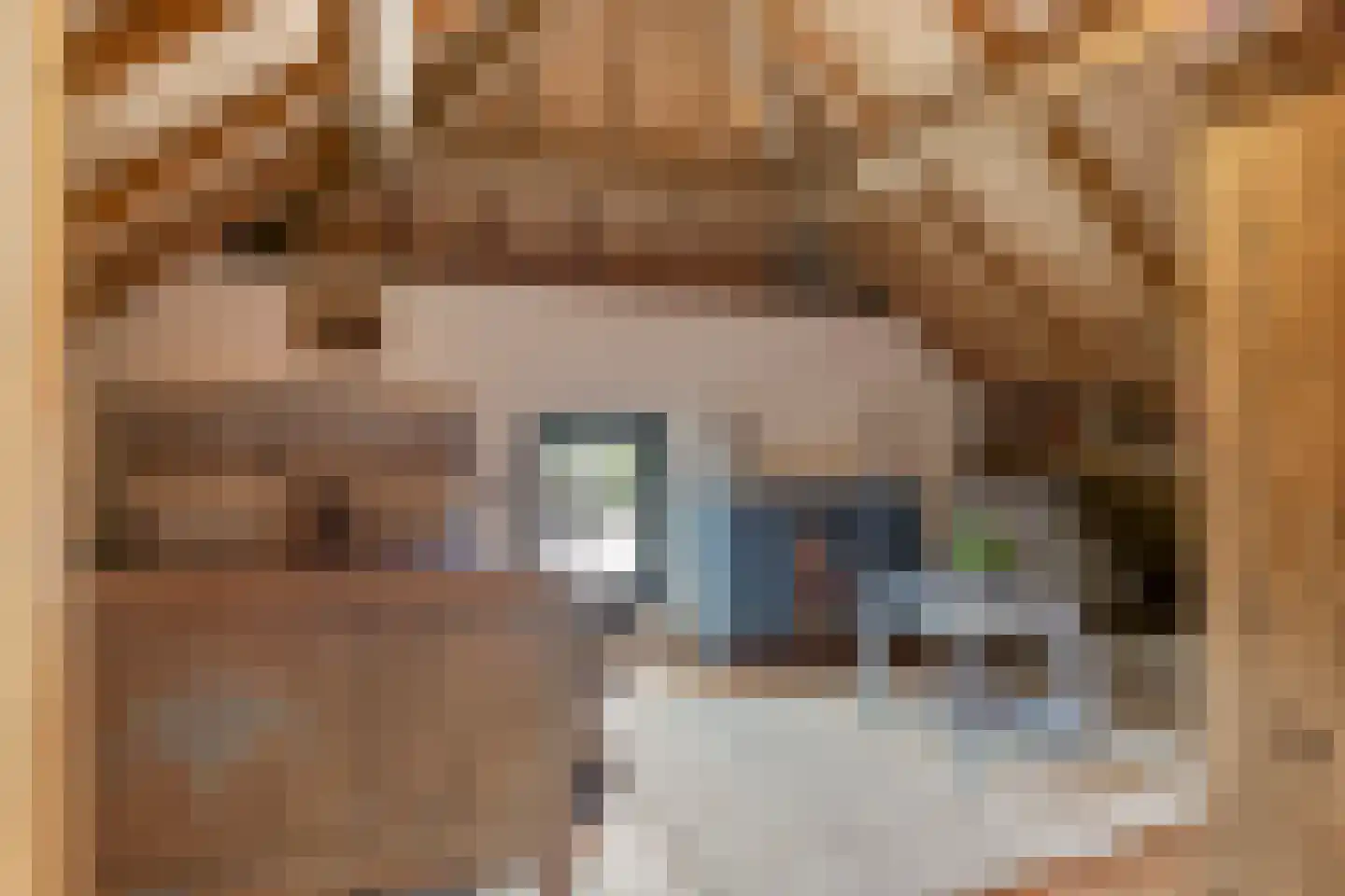 Zelderseweg 23 Zwartebroek thumbnail 47