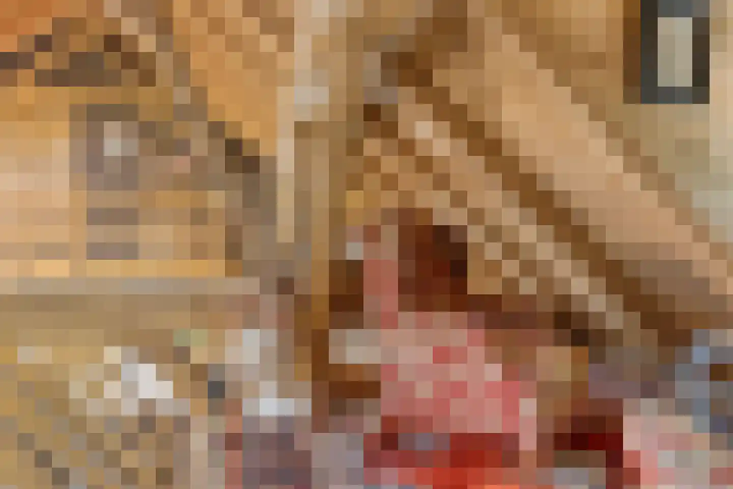 Zelderseweg 23 Zwartebroek thumbnail 52