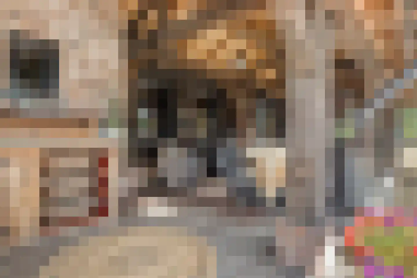 Zelderseweg 23 Zwartebroek thumbnail 55