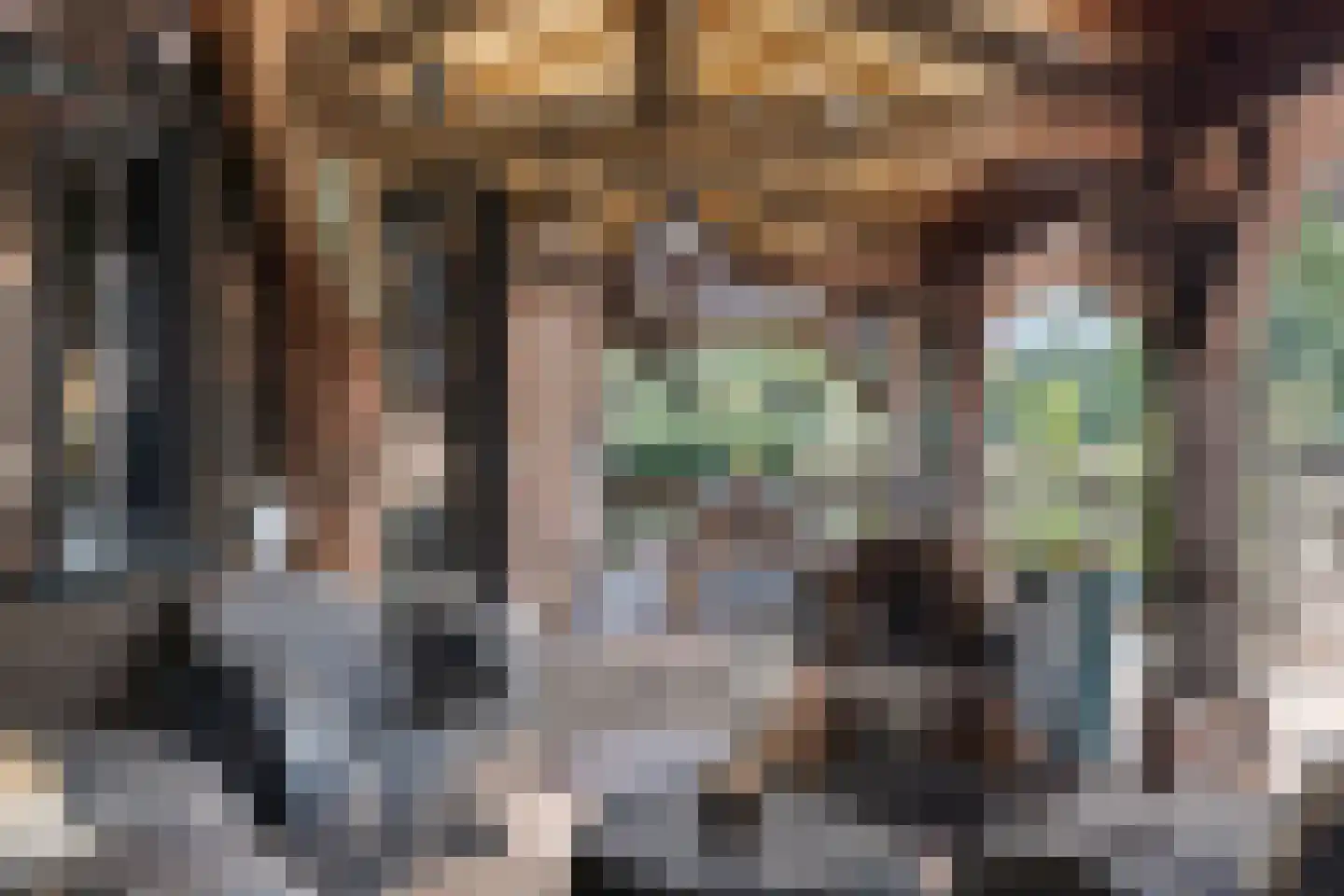 Zelderseweg 23 Zwartebroek thumbnail 56
