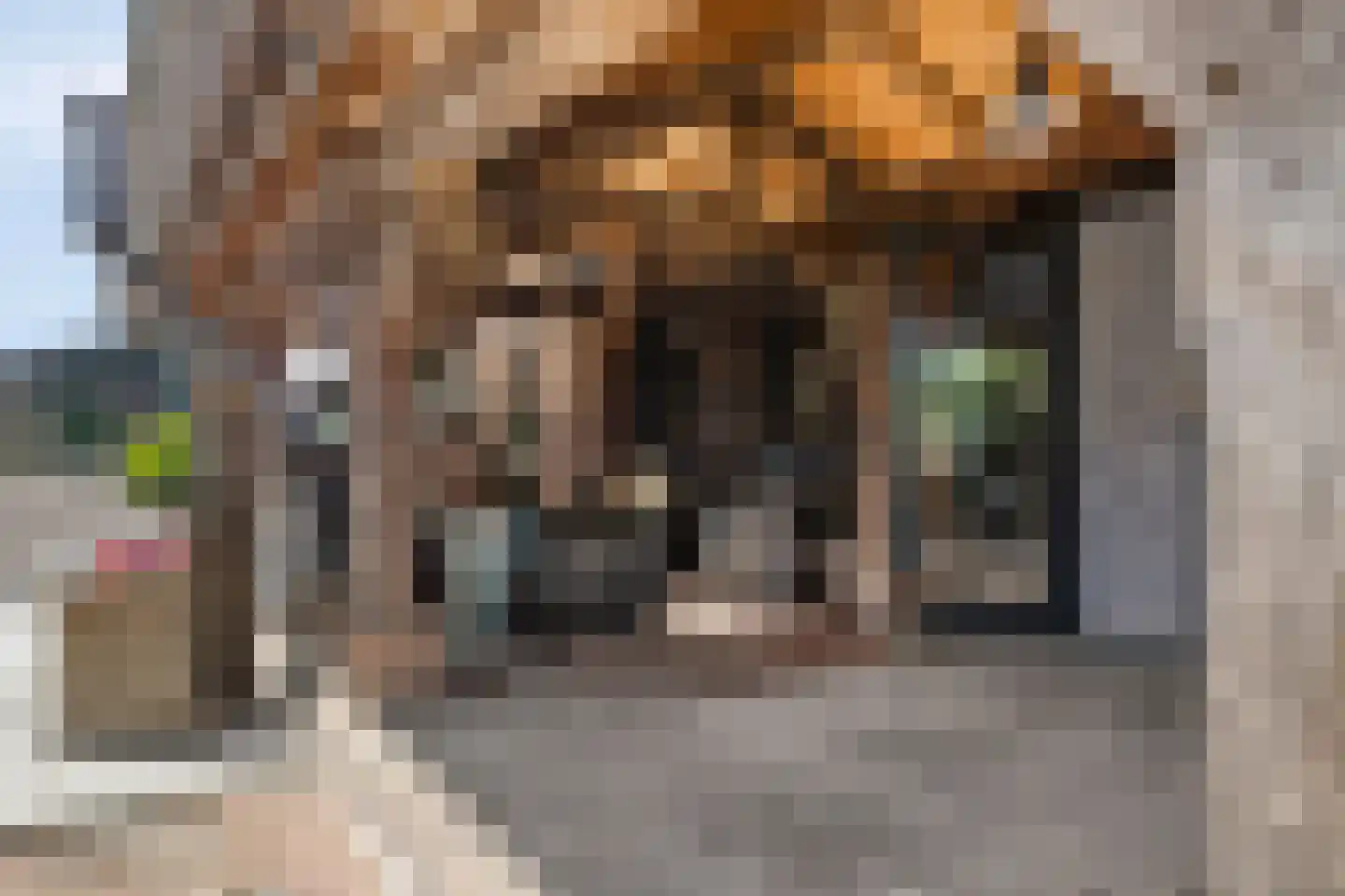 Zelderseweg 23 Zwartebroek thumbnail 57