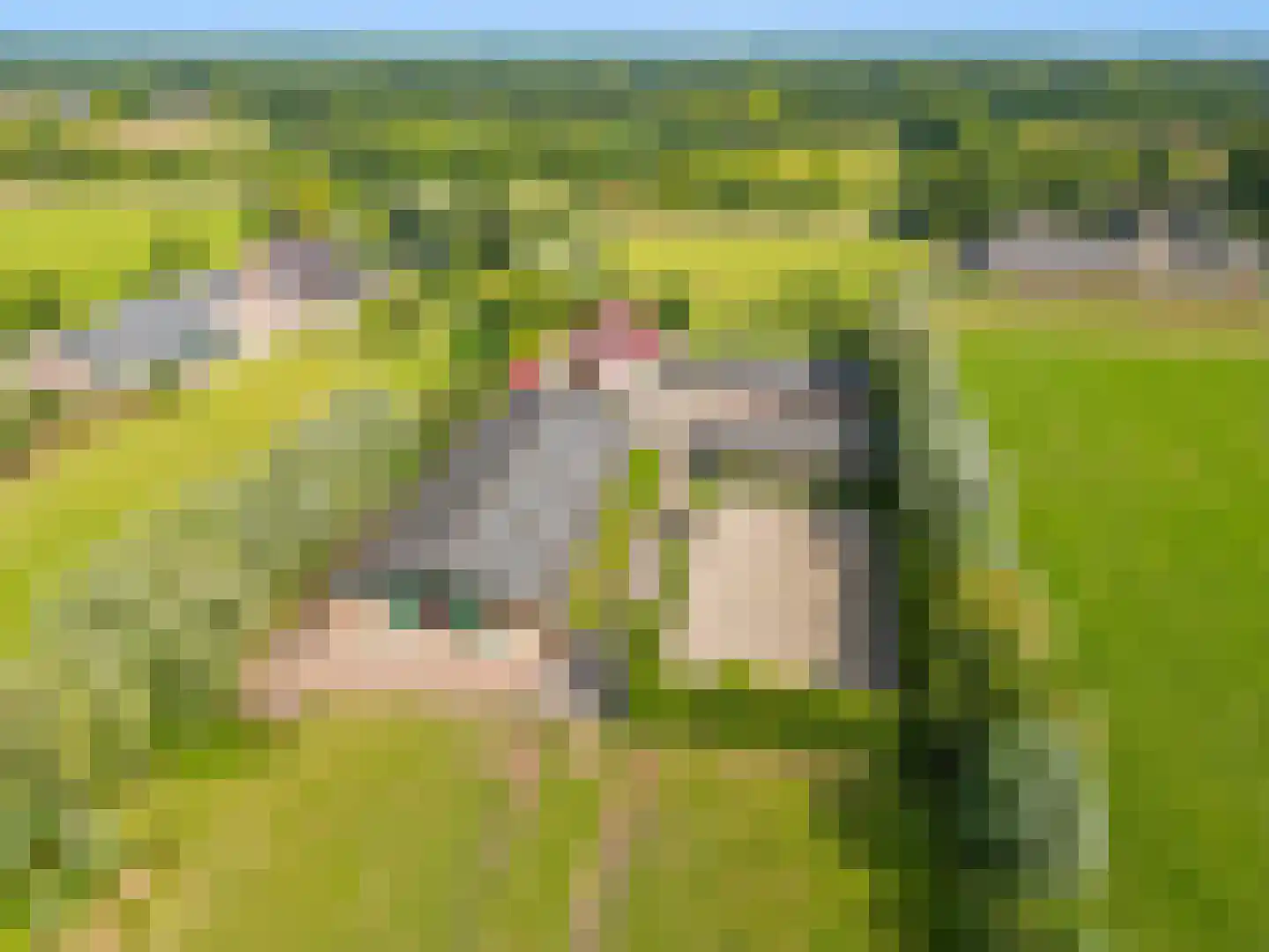 Zelderseweg 23 Zwartebroek thumbnail 59