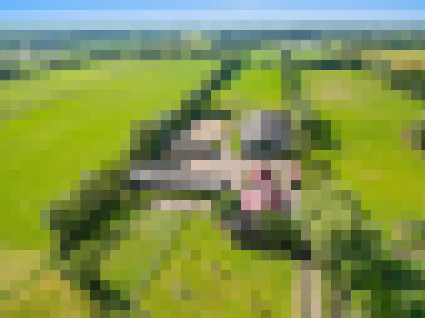 Zelderseweg 23 Zwartebroek thumbnail 60