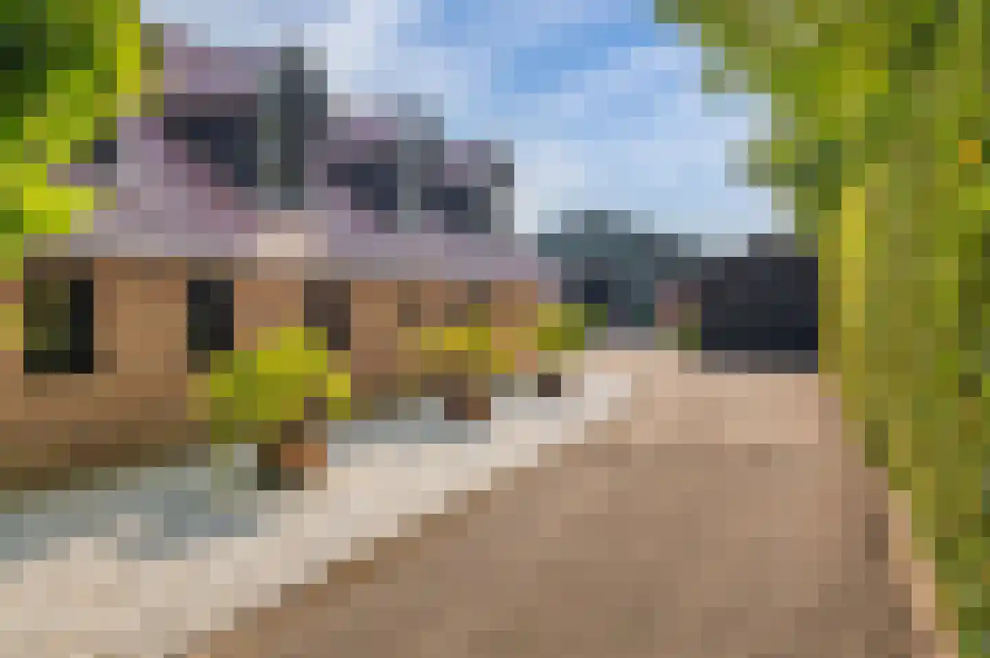 Zelderseweg 23 Zwartebroek thumbnail 63