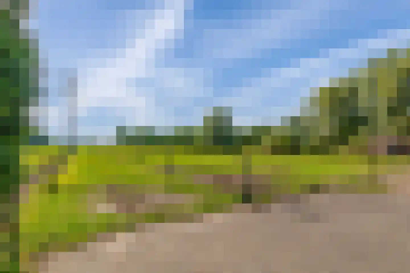 Zelderseweg 23 Zwartebroek thumbnail 66