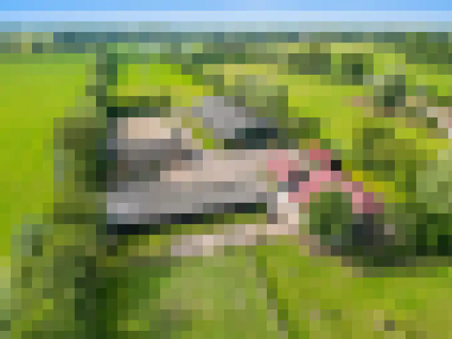 Zelderseweg 23 Zwartebroek thumbnail 67
