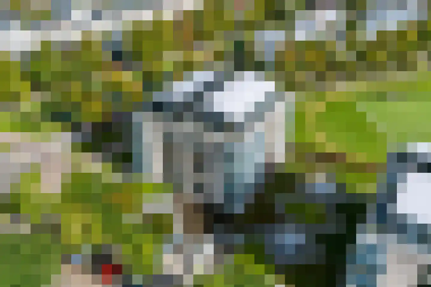 Zeldertsedreef 73 Amersfoort thumbnail 36