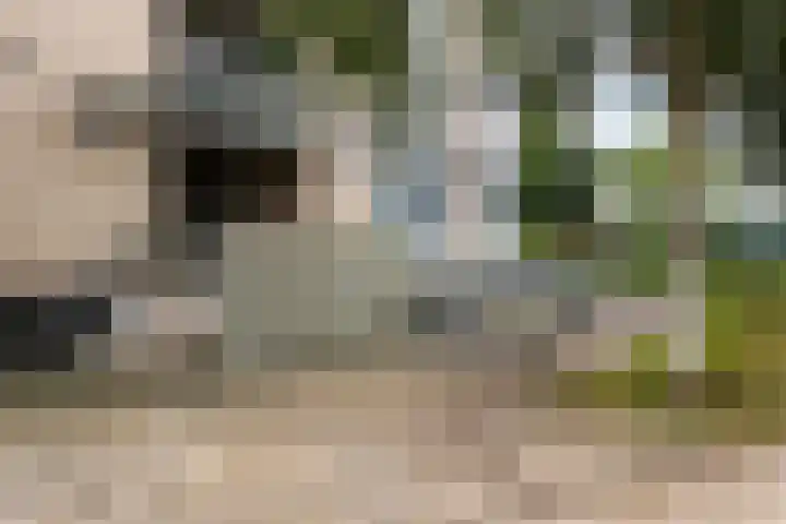 Zeldertsedreef 83 Amersfoort thumbnail 33
