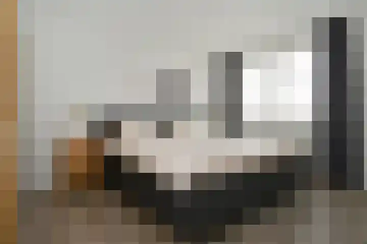 Zelen 5 Panningen thumbnail 23