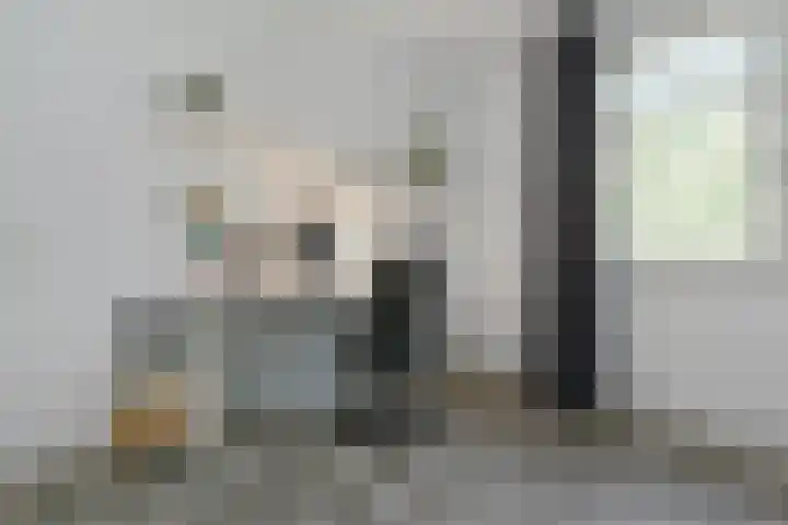 Zelen 5 Panningen thumbnail 25