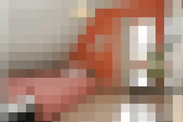 Zelen 5 Panningen thumbnail 32